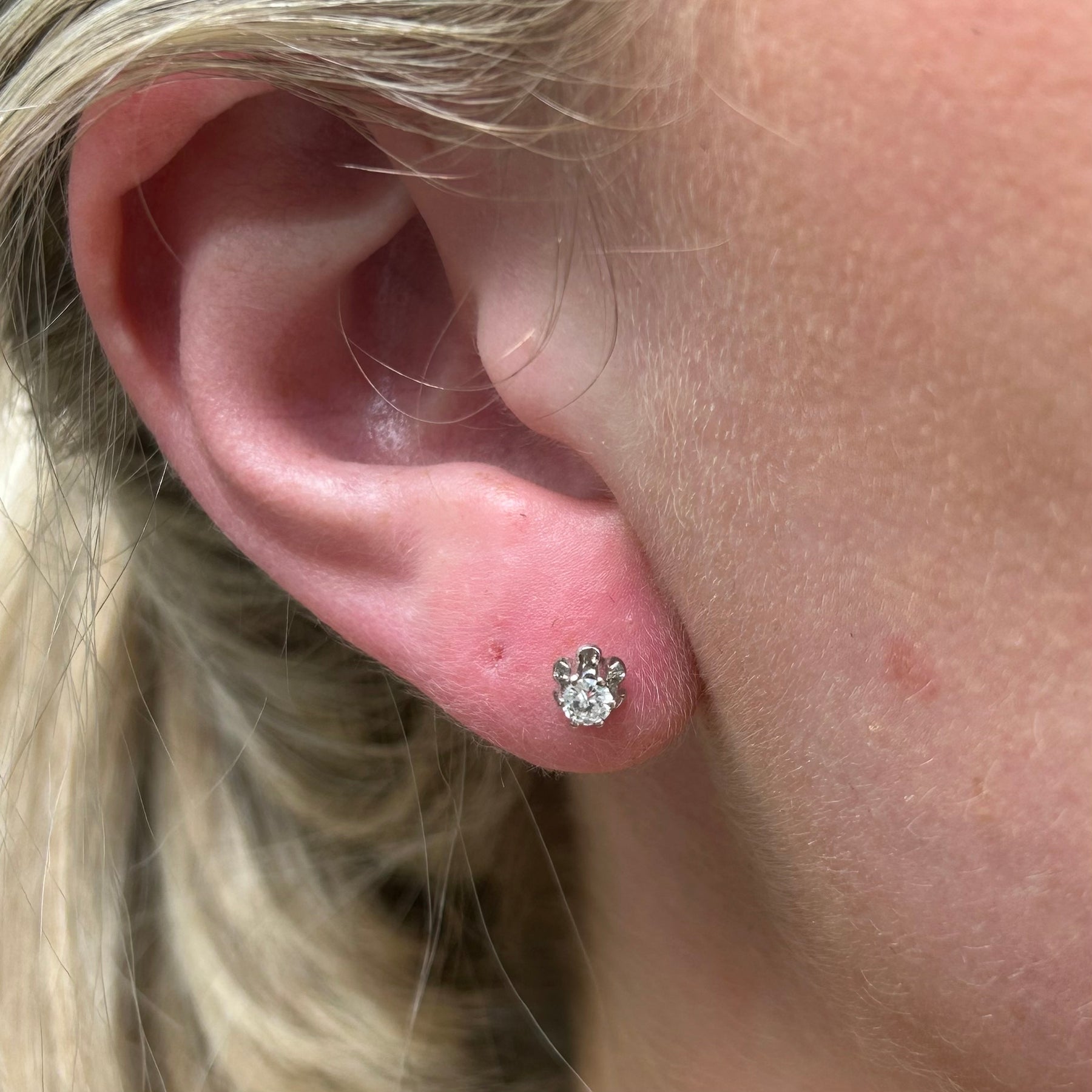 14KW 1/4tcw Diamond Buttercup Stud Earrings