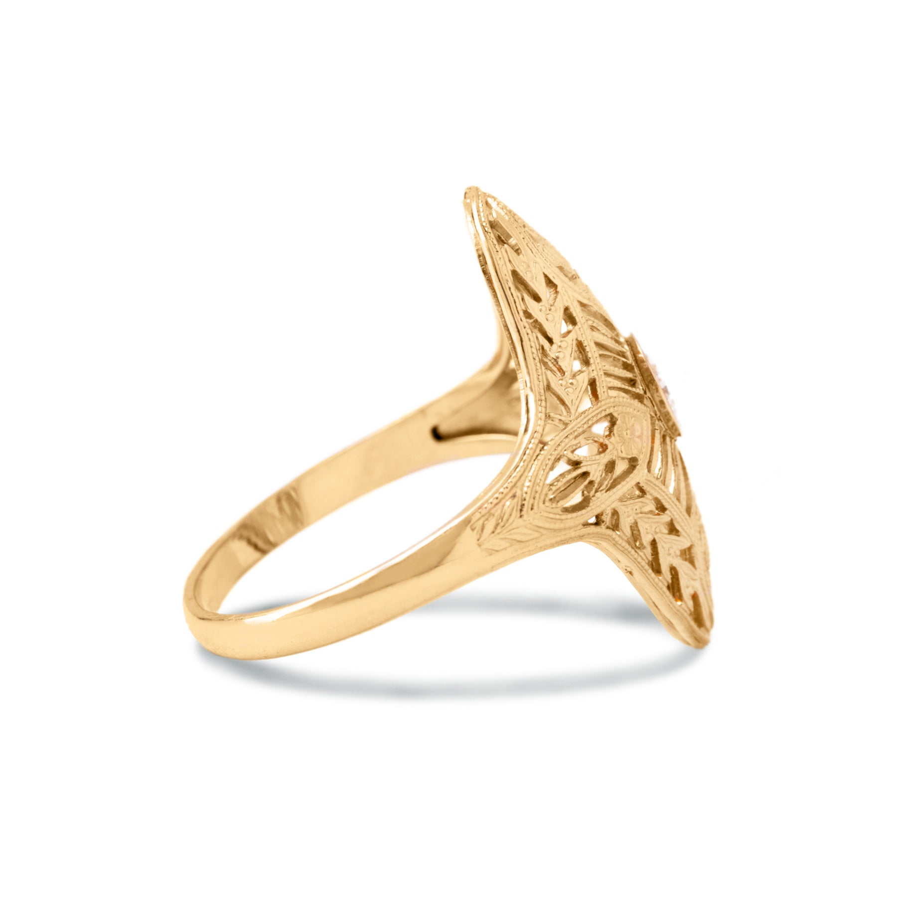 Antonia Ring