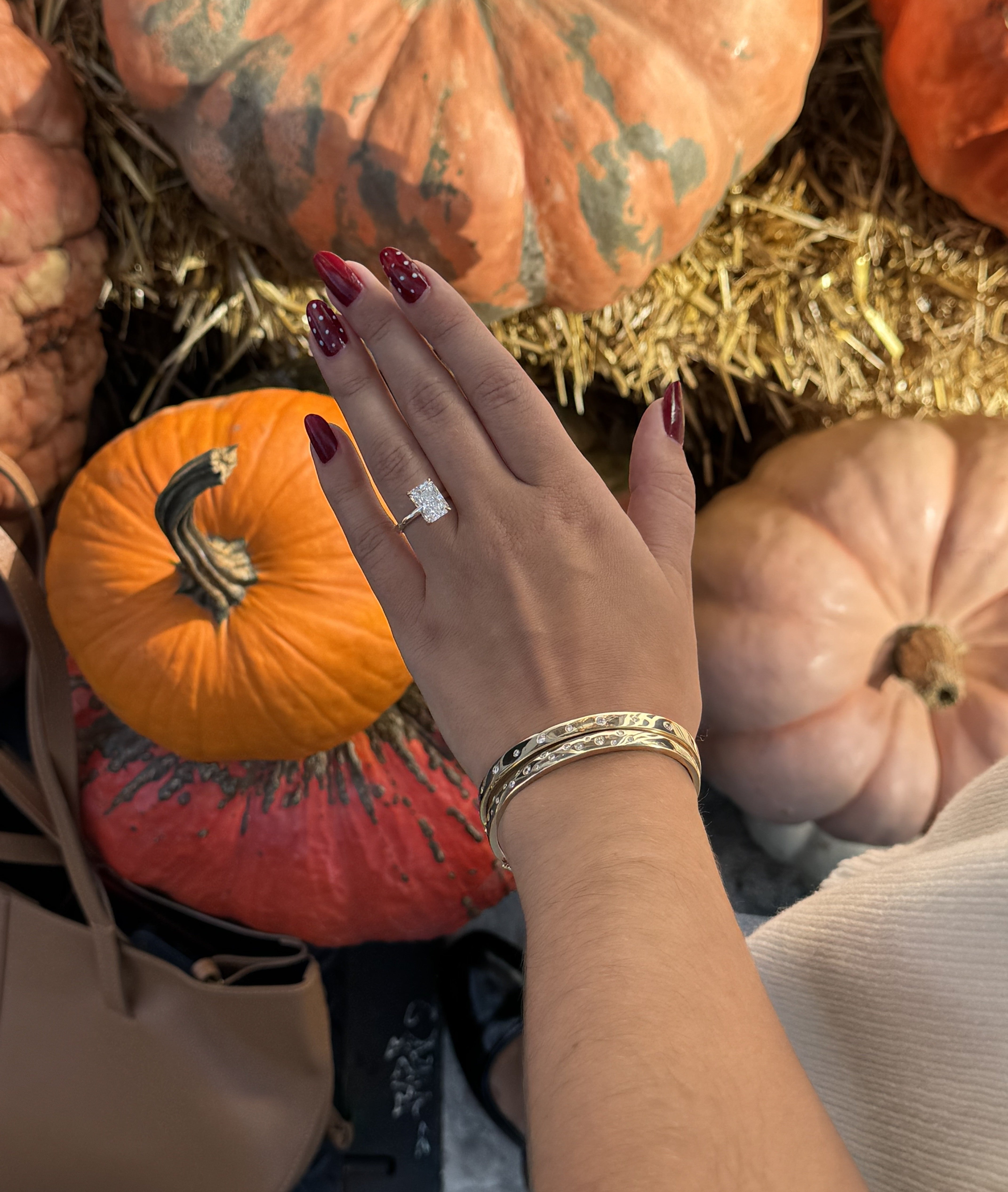 Shop Fall Picks