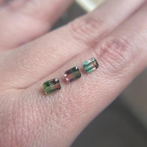 1.48tcw Parcel of Emerald Cut Bicolor Watermelon Tourmaline
