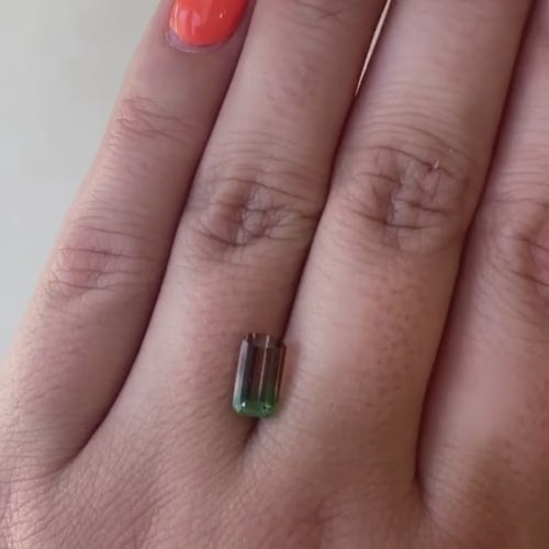 1.43ct Bicolor Tourmaline