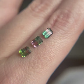 1.48tcw Parcel of Emerald Cut Bicolor Watermelon Tourmaline