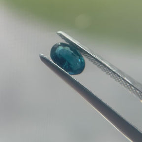 0.47ct Oval Indicolite